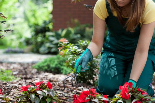 Professional landscapers working in Hatch End