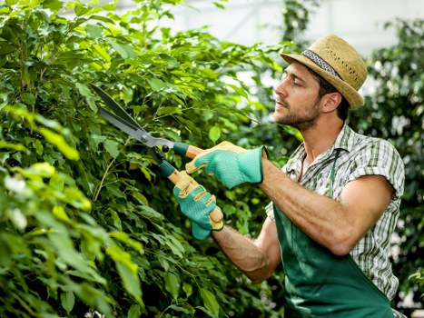 Team preparing for hedge trimming at a residential garden entrance in Hatch End
